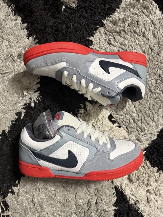 Nike Other - Nike SB Dunk Zoom Air Regime White Pigeon 314067-101 Men's Size 10 New